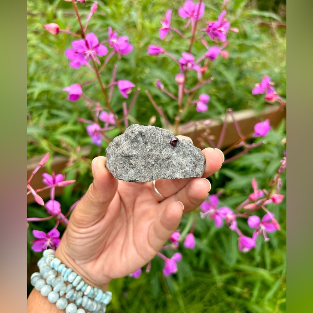 Garnet on Schist from Alaska